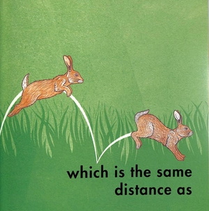 how far can a kangaroo jump? - Ảnh 7