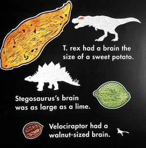 how fast was a velociraptor? - Ảnh 6