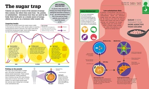 how food works - Ảnh 5
