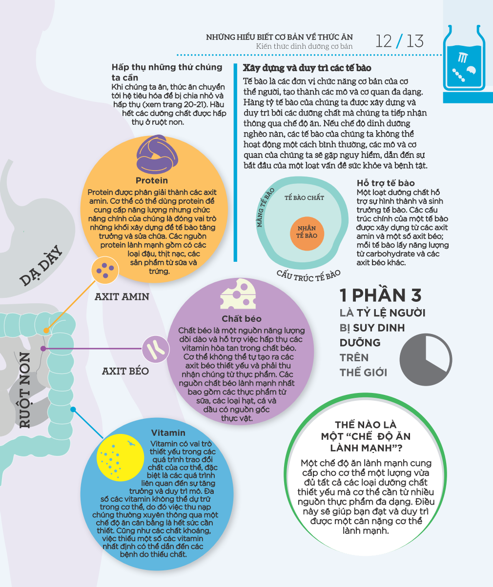 how food works - hiểu hết về thức ăn - Ảnh 10