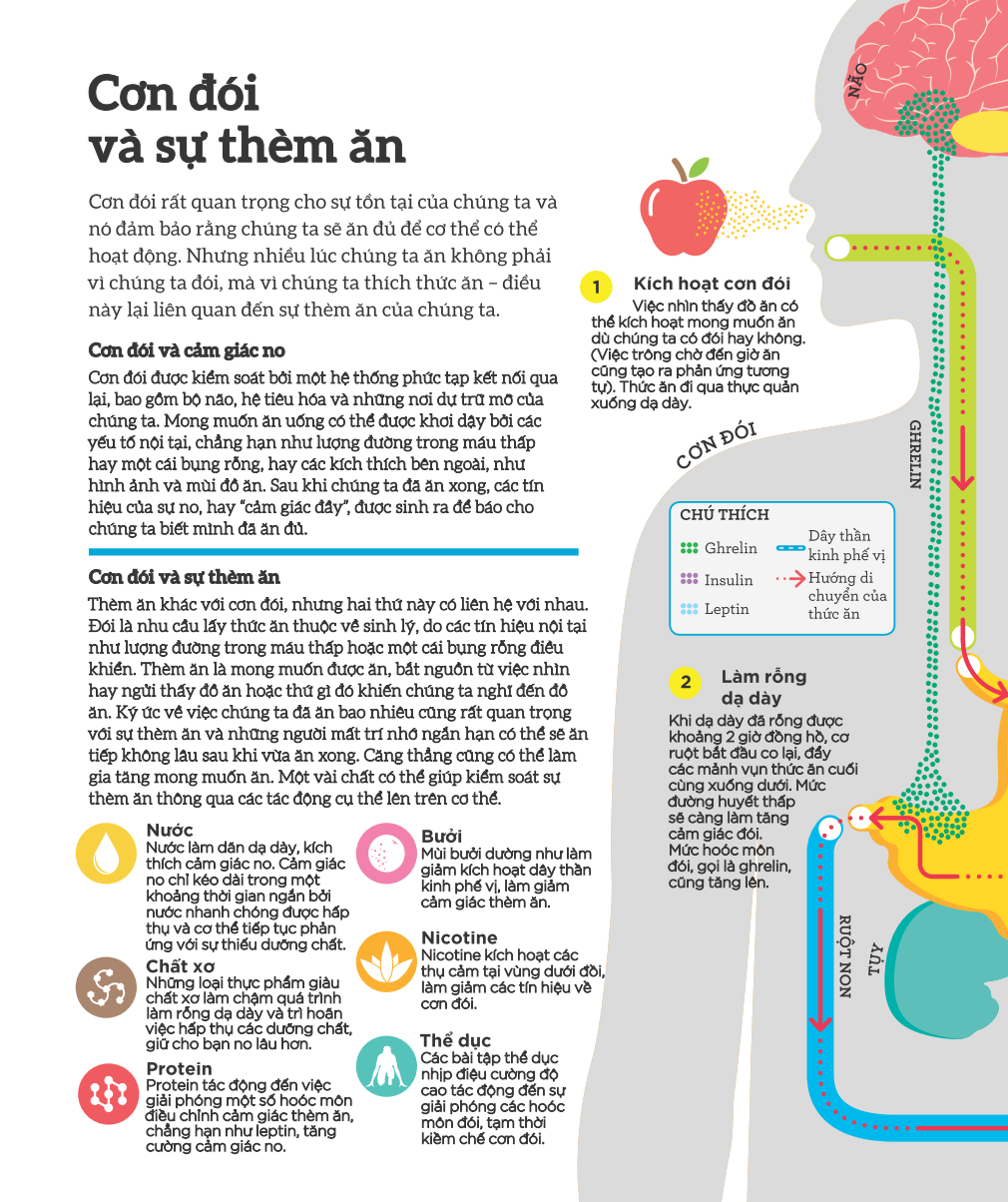 how food works - hiểu hết về thức ăn - Ảnh 11