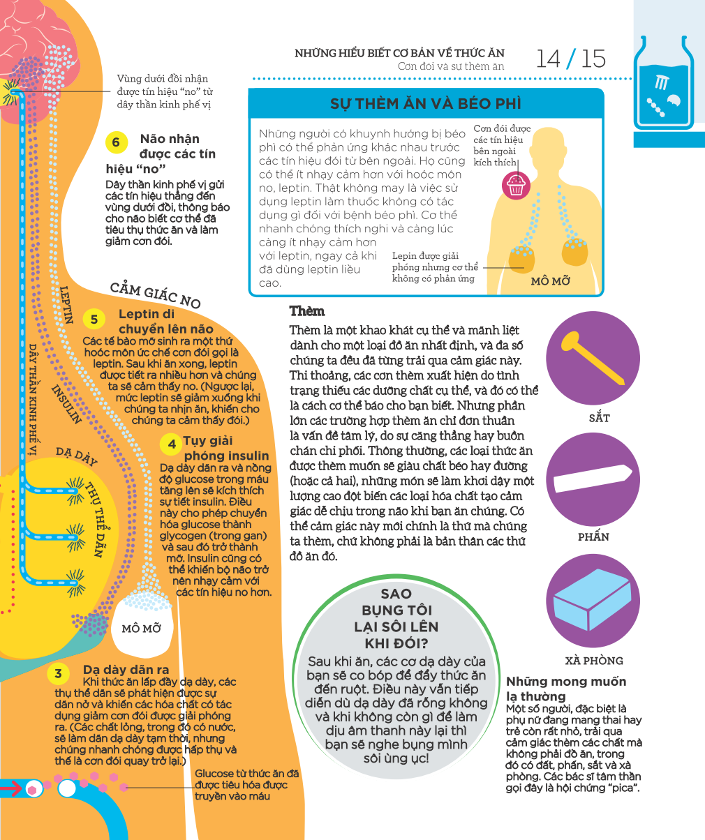 how food works - hiểu hết về thức ăn - Ảnh 12