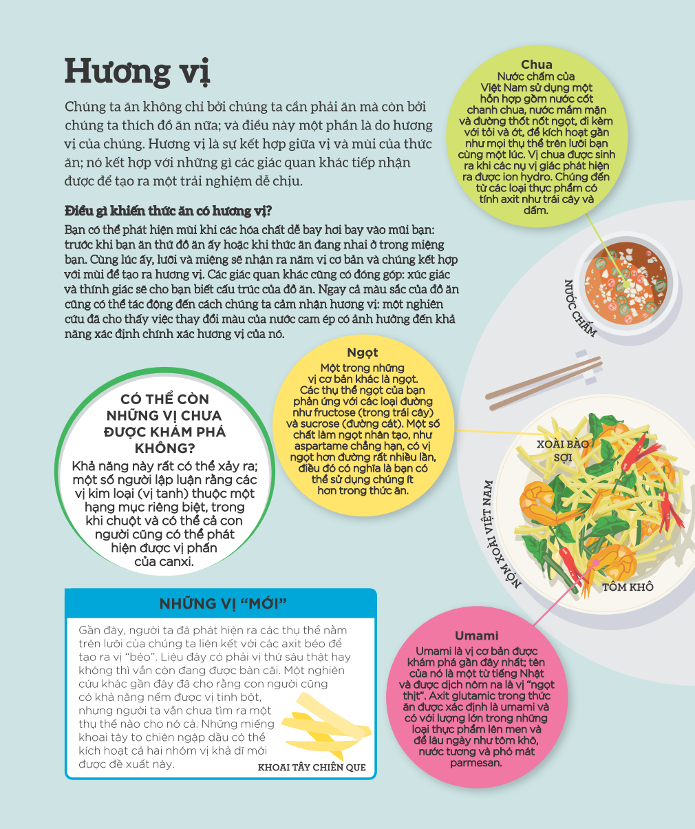 how food works - hiểu hết về thức ăn - Ảnh 13