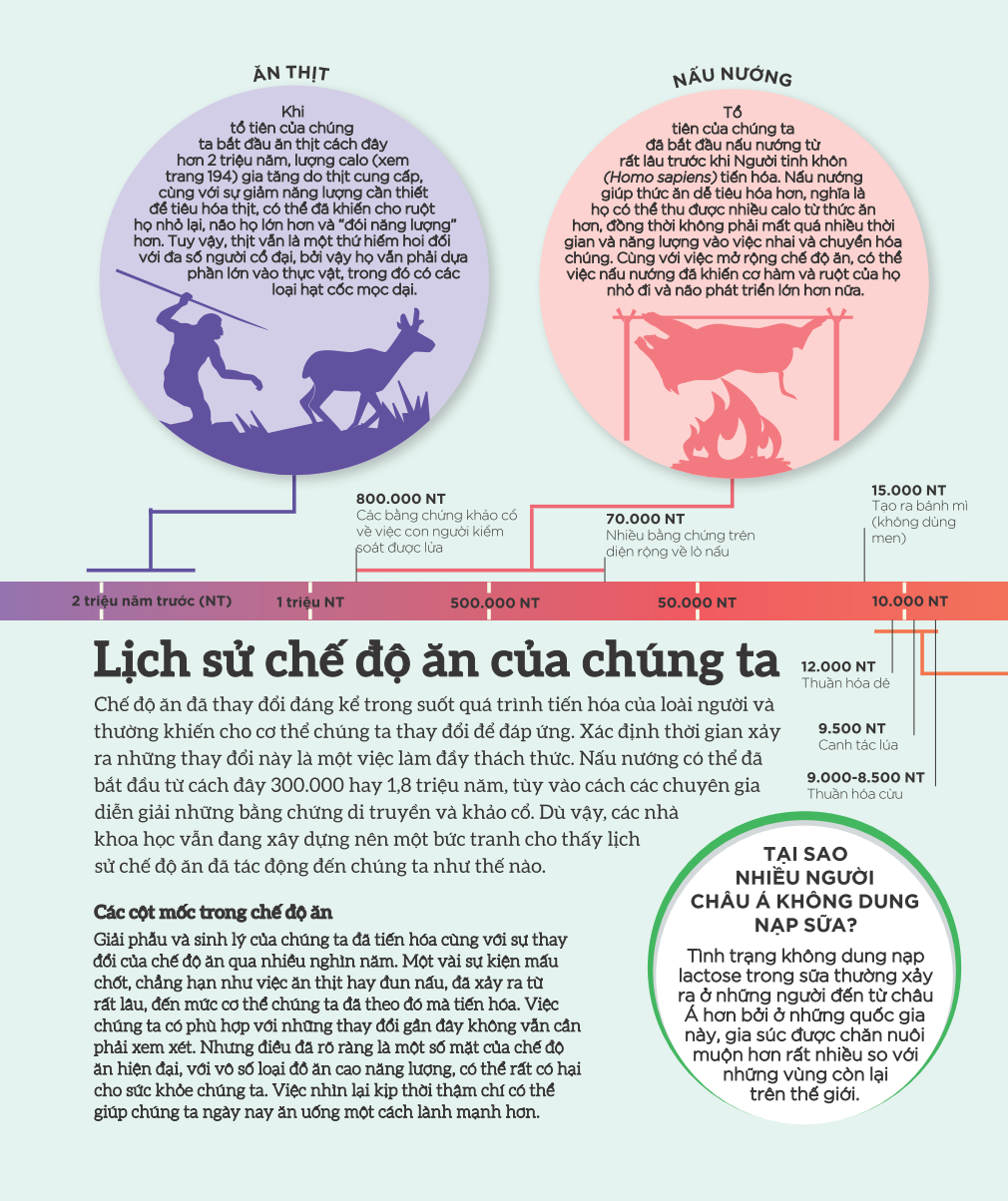 how food works - hiểu hết về thức ăn - Ảnh 5