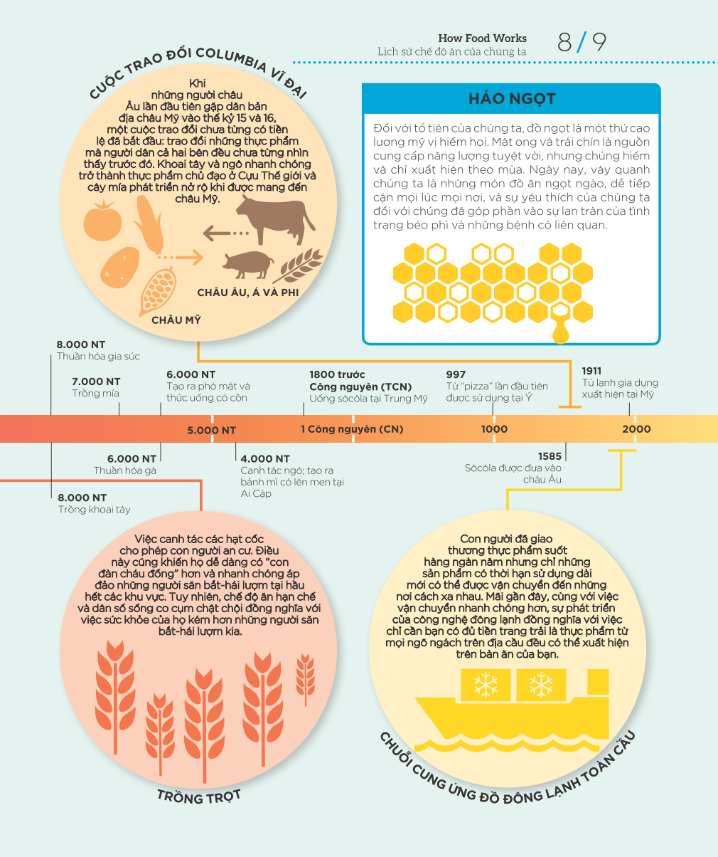 how food works - hiểu hết về thức ăn - Ảnh 6