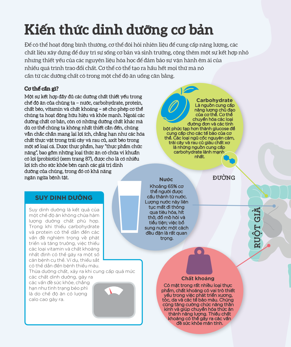 how food works - hiểu hết về thức ăn - Ảnh 9