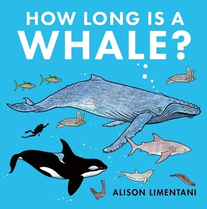 how long is a whale? - Ảnh 2