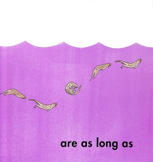 how long is a whale? - Ảnh 4