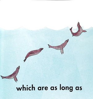 how long is a whale? - Ảnh 6