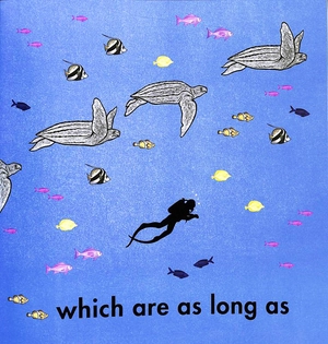 how long is a whale? - Ảnh 7