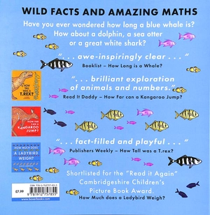 how long is a whale? - Ảnh 8