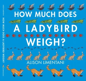 how much does a ladybird weigh? - Ảnh 2