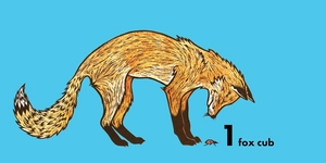 how much does a ladybird weigh? - Ảnh 5