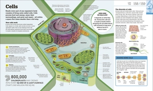 how science works - Ảnh 6