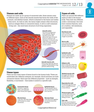 how the body works: big stuff simply explained - Ảnh 11