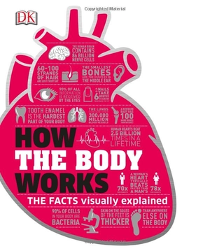 how the body works: big stuff simply explained - Ảnh 2