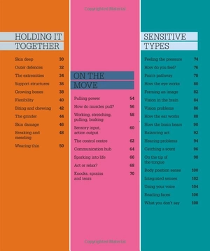 how the body works: big stuff simply explained - Ảnh 4