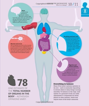 how the body works: big stuff simply explained - Ảnh 9