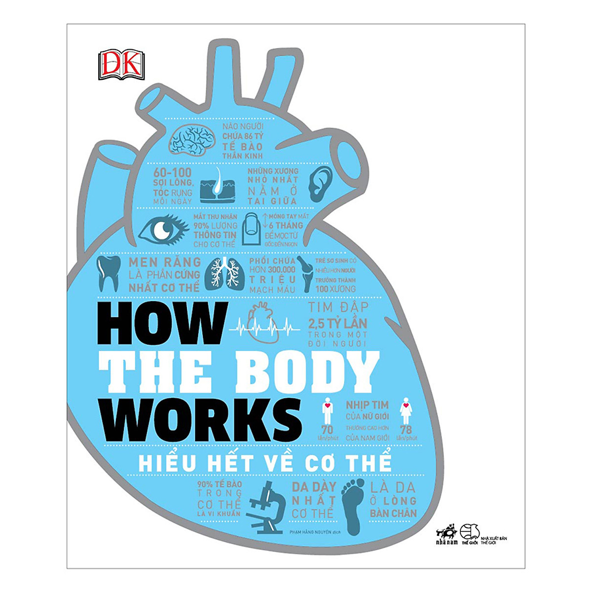 how the body works - hiểu hết về cơ thể - Ảnh 2