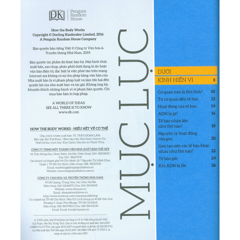 how the body works - hiểu hết về cơ thể - Ảnh 4