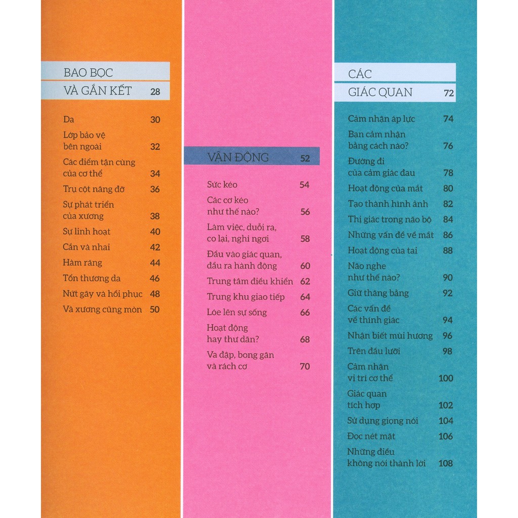 how the body works - hiểu hết về cơ thể - Ảnh 6