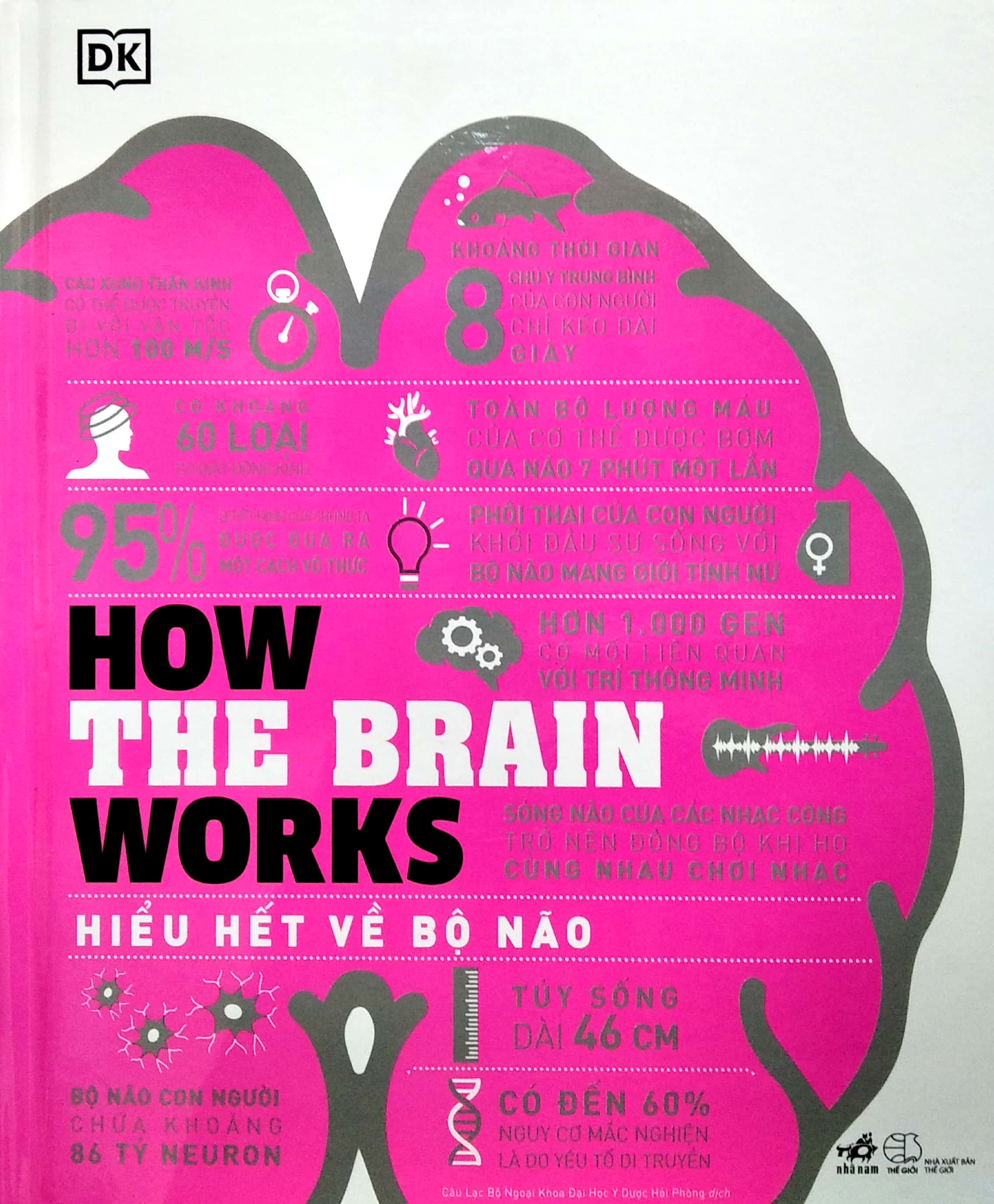 how the brain works - hiểu hết về bộ não - Ảnh 2