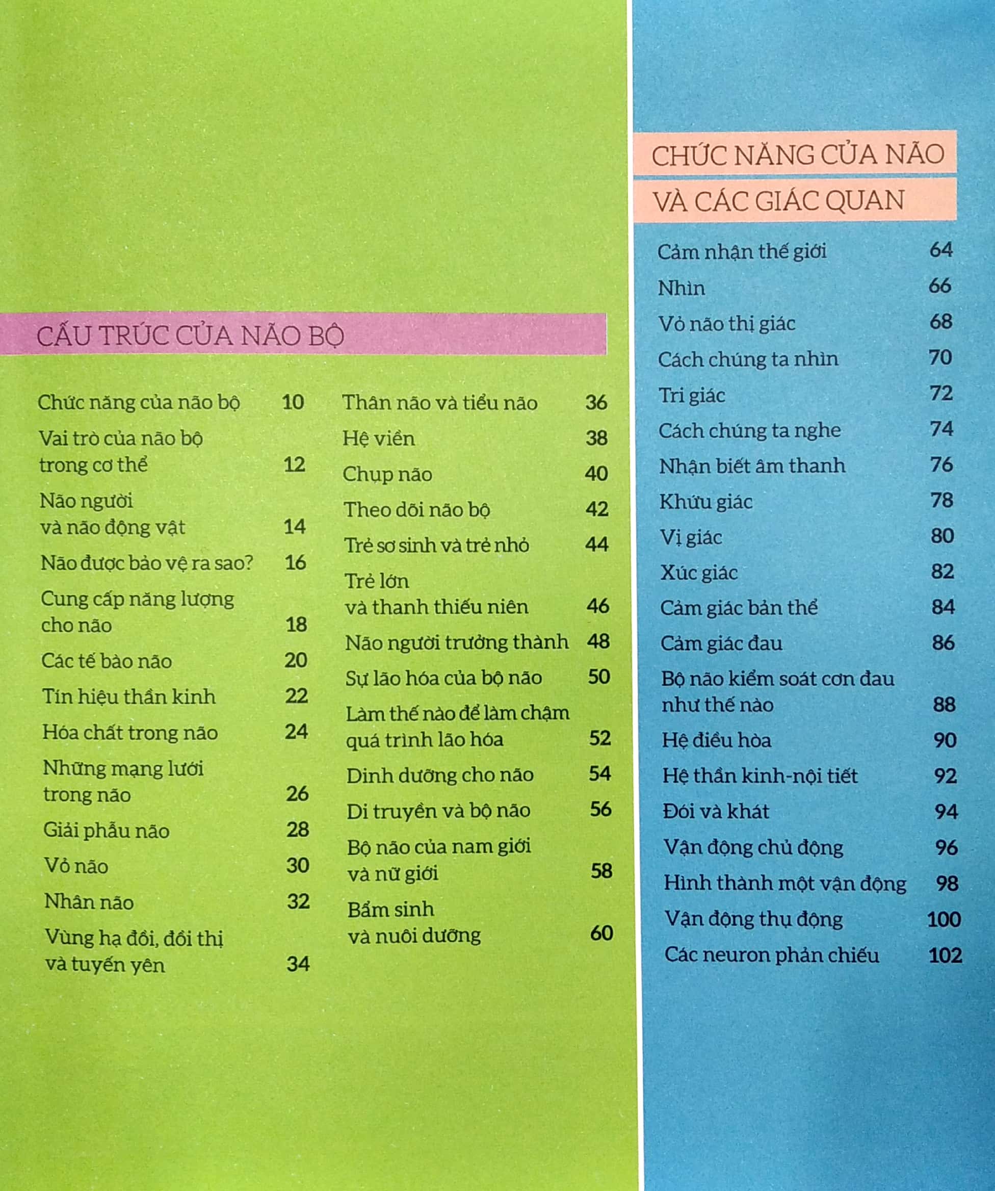 how the brain works - hiểu hết về bộ não - Ảnh 3