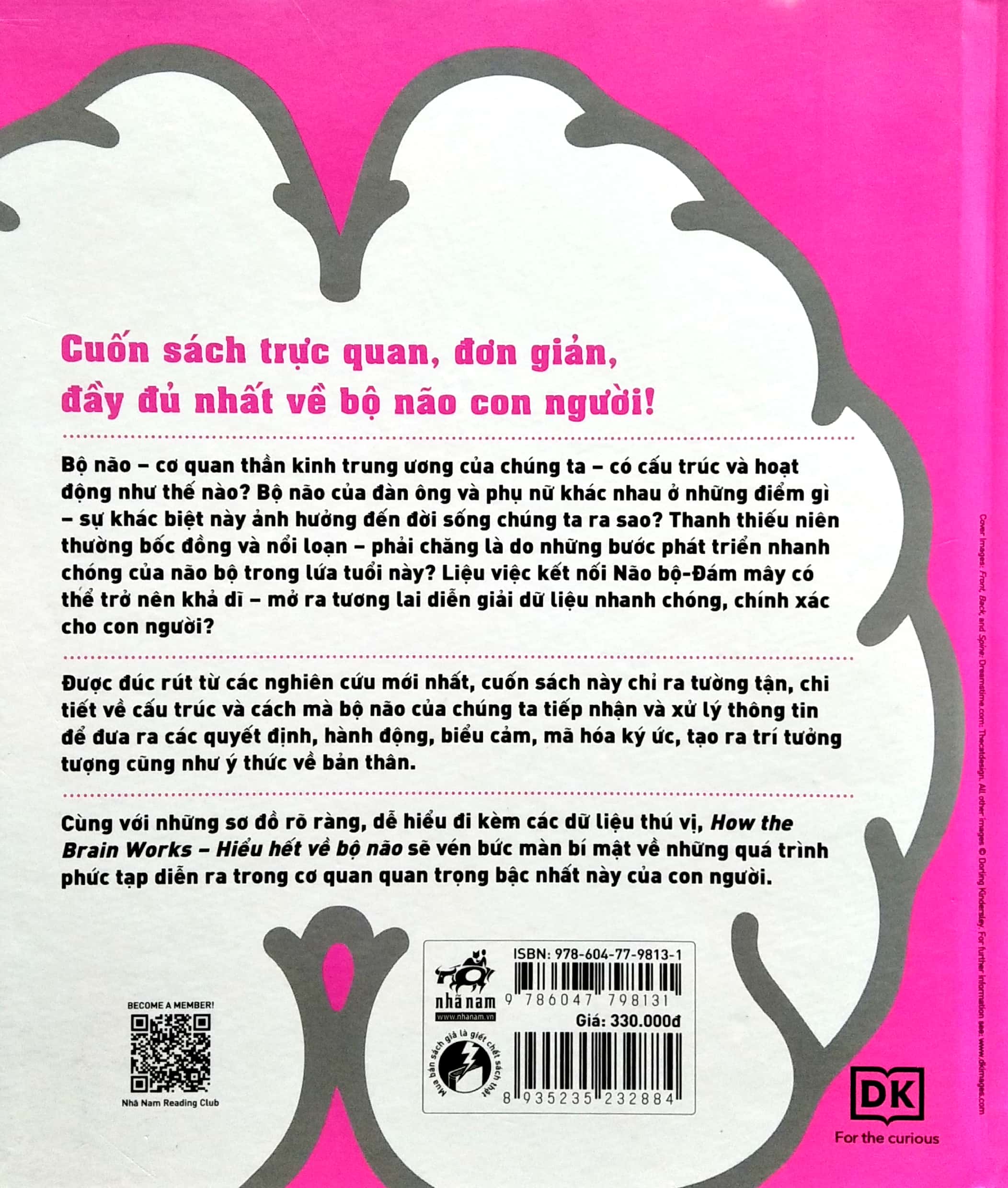 how the brain works - hiểu hết về bộ não - Ảnh 6