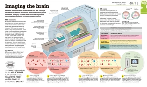 how the brain works: the facts visually explained (how it works) - Ảnh 3