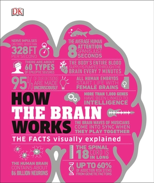how the brain works: the facts visually explained (how things work) - Ảnh 2