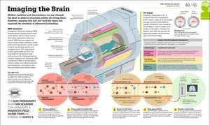 how the brain works: the facts visually explained (how things work) - Ảnh 4