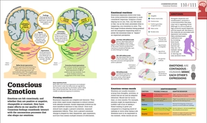 how the brain works: the facts visually explained (how things work) - Ảnh 7