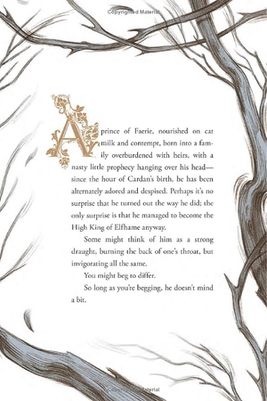 how the king of elfhame learned to hate stories - Ảnh 5