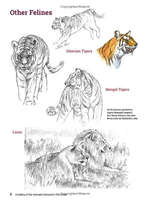 how to draw animals - a visual reference guide to sketching 100 animals including popular dog and cat breeds! - Ảnh 10