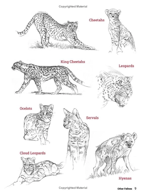 how to draw animals - a visual reference guide to sketching 100 animals including popular dog and cat breeds! - Ảnh 11