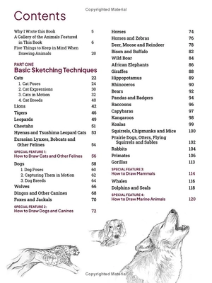 how to draw animals - a visual reference guide to sketching 100 animals including popular dog and cat breeds! - Ảnh 4