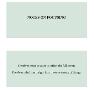 how to focus (mindfulness essentials) - Ảnh 4