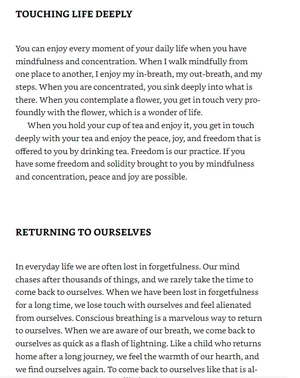 how to focus (mindfulness essentials) - Ảnh 6