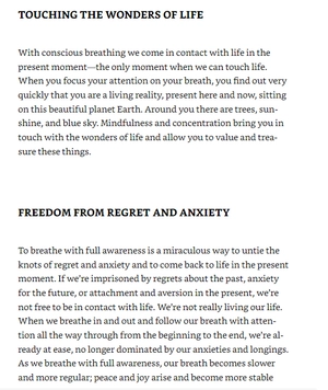 how to focus (mindfulness essentials) - Ảnh 7