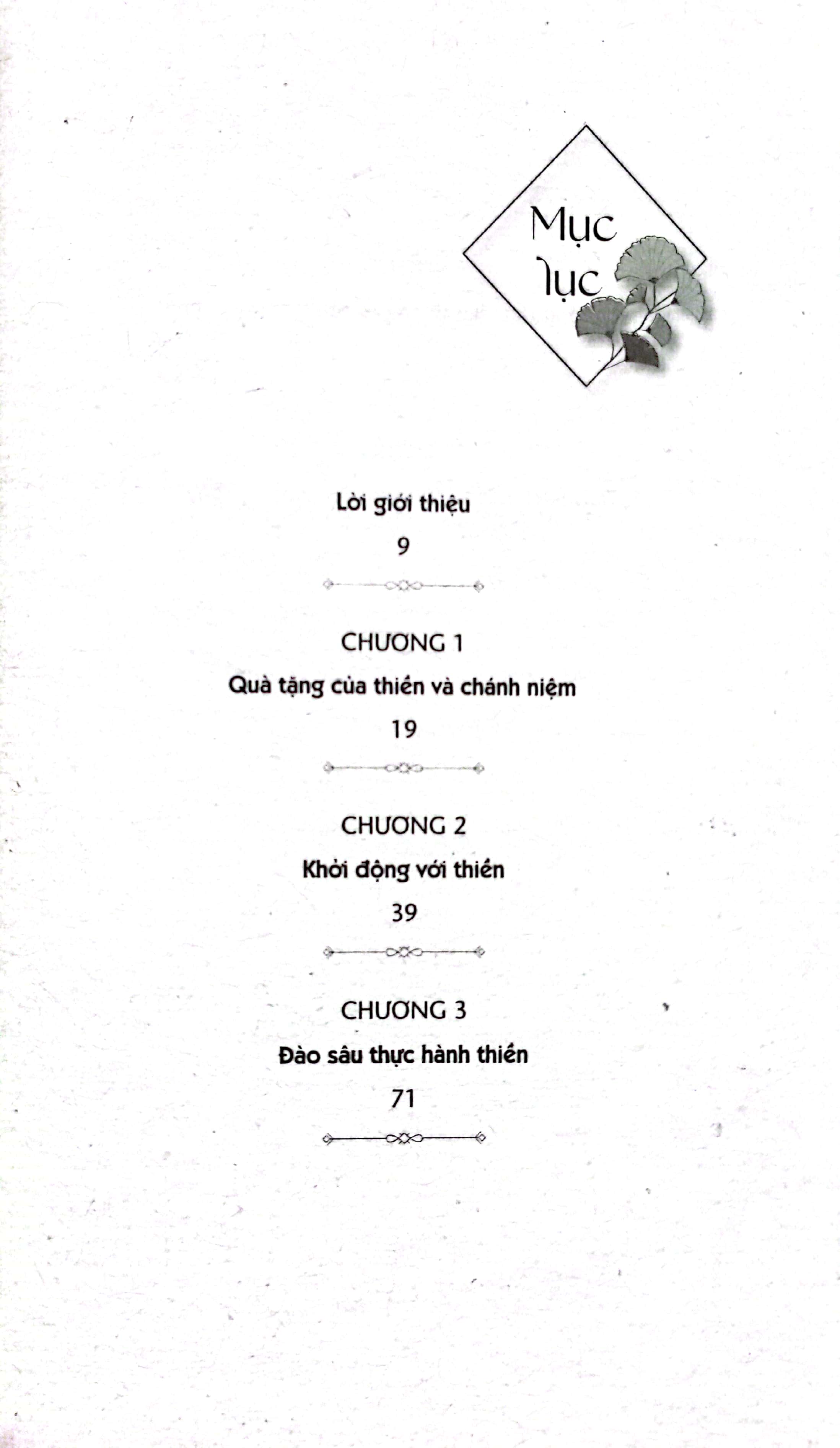 how to meditate like a buddhist - thiền như một phật tử - Ảnh 3