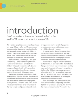 how to raise an amazing child the montessori way, 2nd edition - Ảnh 8