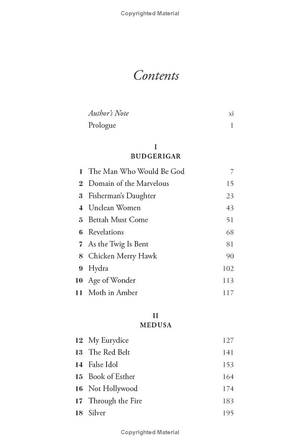 how to say babylon - a memoir - Ảnh 6