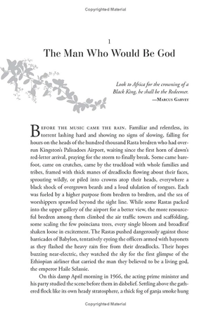 how to say babylon - a memoir - Ảnh 9