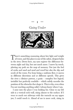 how to think like a fish: and other lessons from a lifetime in angling - Ảnh 3