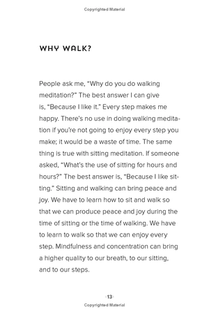 how to walk - Ảnh 5