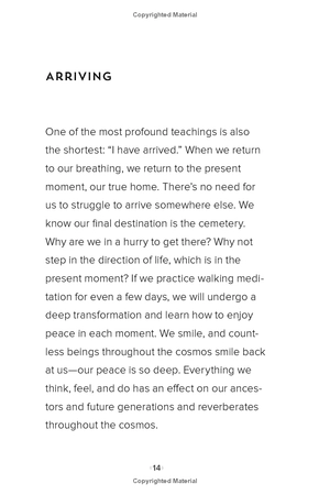 how to walk - Ảnh 6