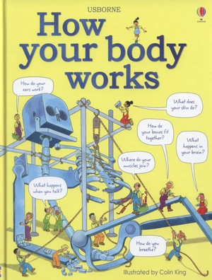 how your body works - Ảnh 2