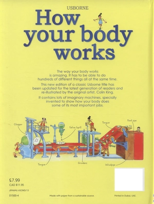 how your body works - Ảnh 6