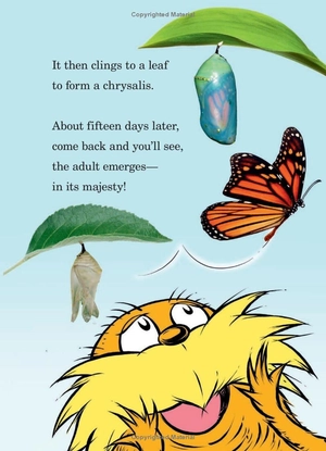 hug a bug: how you can help protect insects (dr. seuss's the lorax books) - Ảnh 11