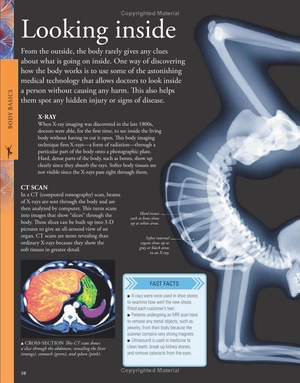 human body a children's encyclopedia - Ảnh 10